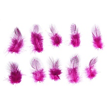 Набор перьев для декора 10 шт., (5 × 2 см),  розовый с чёрным