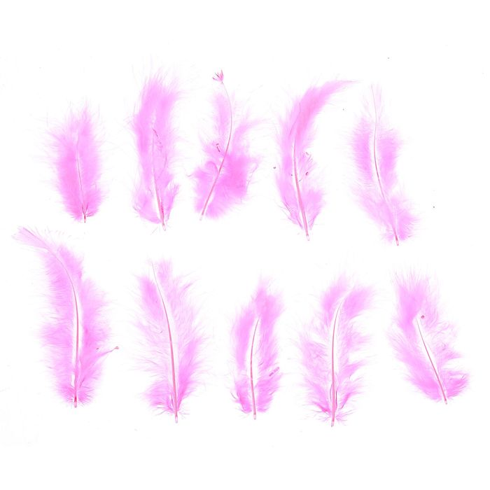 Набор перьев для декора 10 шт, размер 10*2 цвет розовый