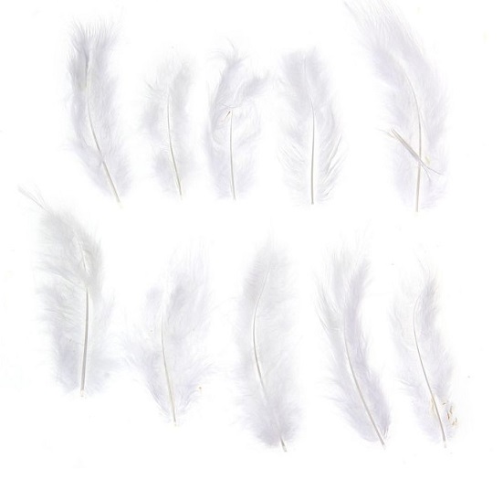 Набор перьев для декора 10 шт., (10 × 2 см), белый
