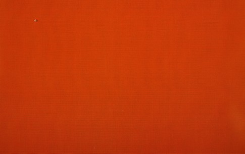 Подкладочная TAFFETA 190 TEX  цветная №599  (16-1257, оранжевый)