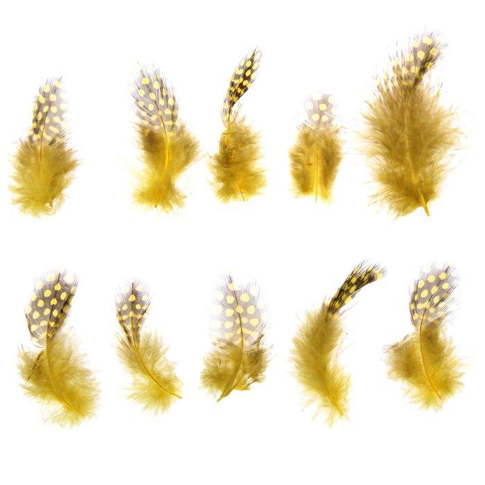 Набор перьев для декора 10 шт., (5 × 2 см),  жёлтый с коричневым