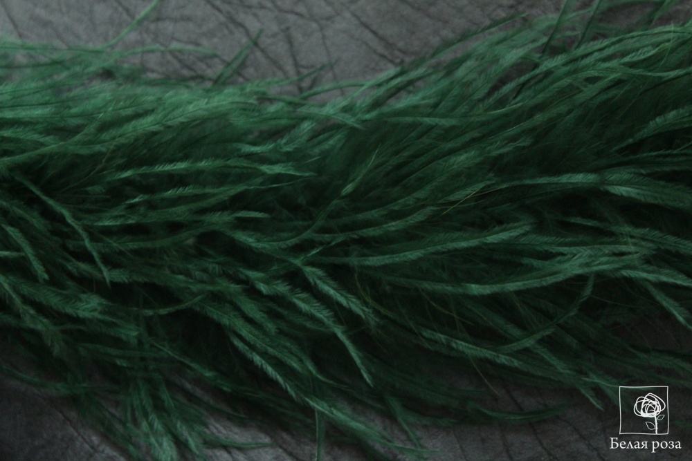 Боа Страус     (27, т.зеленый)