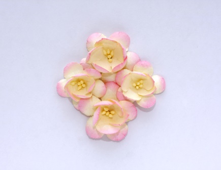Цветы сакуры, набор 4 шт, диам 3,5 см, розово-бежевые