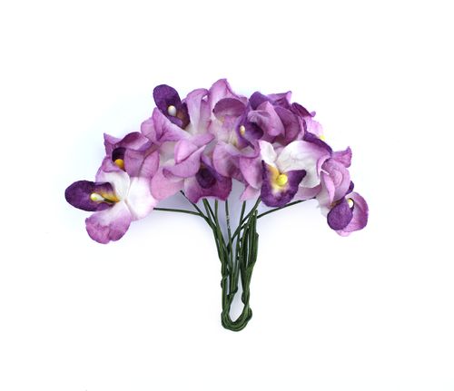 Орхидеи, набор 10 шт ФИОЛЕТОВЫЕ