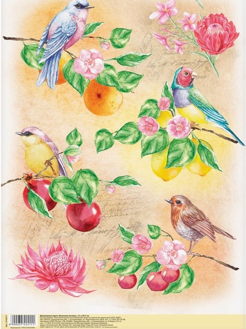Декупажная карта «Райские птицы», 21 × 29,7 см