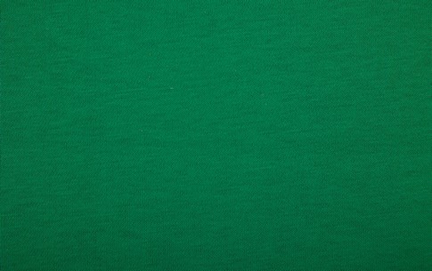 Футер 3х нитка с начесом рулон пенье   3284 (22 (ТТ12), яр. зеленый)