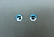 Глазки клеевые бегающие 15 мм с ресницами  (10шт) (1, синий)