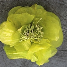 Цветок №33 булавка+зажим (2, зеленый)