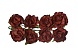 Кудрявые розы из бумаги ТЕМНО-КОРИЧНЕВЫЕ, 8 шт