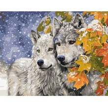 Картина по номерам 40х50 см Два волка