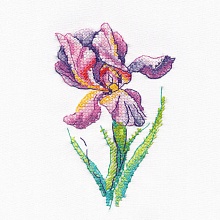 Набор для вышивания "Радужный цветок"