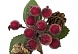 Веточка засахаренных ягод с шишками (бордовый)
