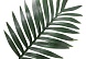 Цветок искусственный 'Лист пальмы' 58*28см