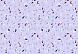 Вафельное полотно  набивное шир.150см (5522 вид1)