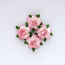 Цветы кудрявой розы, 4 шт, бело-розовые