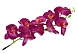 Орхидея искусственная 100см (фиолетовый)