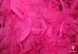 Боа Петух (45 гр) (113, ярк.розовый)