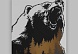 Термотрансфер «Дикий медведь», 18,6 × 20,3 см