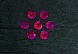 Пайетки голограмма цветная (15-16г)  (1, розовый)