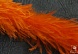 Боа Страус     (7, оранжевый)