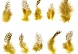Набор перьев для декора 10 шт., (5 × 2 см),  жёлтый с коричневым