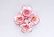 Цветы сакуры, набор 4 шт, диам 3,5 см, нежно-розовые