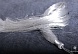 Кисти декоративные №9025 (40см) серебро