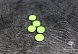 Пуговица  блузочная 270  (1, зеленый)
