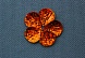 Пайетки Ракушка малые гологр (25гр) (5, оранжевый)