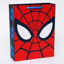 Пакет ламинированный вертикальный "Ты- супергерой", Человек-паук,...