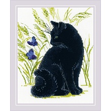 Набор для вышивания "Черный кот" 24*30см