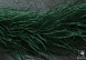 Боа Страус     (27, т.зеленый)