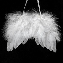 Крылья ангела из перьев 13*11см Glorex 