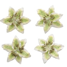 Цветы лилии, набор 4 шт, диам 5 см,светло-зеленый