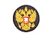 Аппликация Герб Россия 50×50 мм (4, черный)
