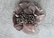 Цветок №33 булавка+зажим (8, черный)