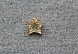 Пуговица со стразами ВК-20  (1, звезда, золото)