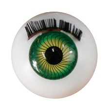 Глаза с ресничками круглые 20мм (уп=10шт) (1, зеленый)