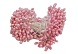 Тычинки пластик-2, 0,3см, 2 пучка (5, св.розовый)