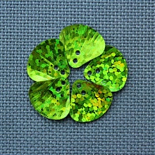 Пайетки Ракушка малые гологр (25гр) (13, зеленый)