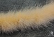 Боа Лебедь (22-25 гр) (22, персик)