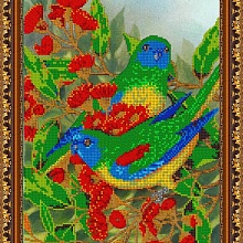 Рисунок на ткани для вышивания бисером "Радужная пара птиц" К-506 (24...