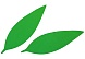 Заготовка из фоамирана Лист вытянутый (10х3 см) зеленый 10шт 