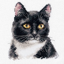 1-37 "Черный кот" 11х12 см. Набор для вышивания "Алиса" 