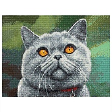 Алмазная мозаика 'Британский кот', 30*40см