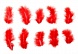 Набор перьев для декора 10 шт, (10*2  см),  красный