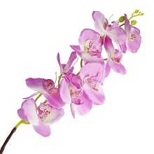 Орхидея искусственная 100см (сиреневый)