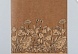 Бумага для скрапбукинга крафт "Полевые цветы", 15,5х17 см, 180 гр/м