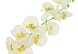 Орхидея искусственная 100см (белый)