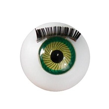 Глаза с ресничками круглые 16мм (уп=10шт) (1, зеленый)